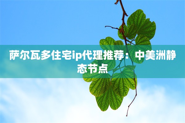 萨尔瓦多住宅ip代理推荐:中美洲静态节点