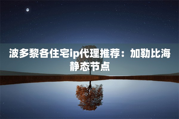 波多黎各住宅ip代理推荐：加勒比海静态节点