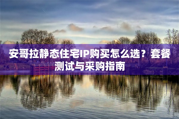 安哥拉静态住宅IP购买怎么选?套餐测试与采购指南 安哥拉静态住宅IP购买怎么选?套餐测试与采购指南