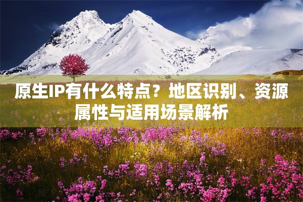 原生IP有什么特点？地区识别、资源属性与适用场景解析
