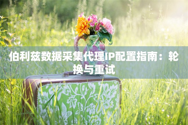 伯利兹数据采集代理IP配置指南：轮换与重试