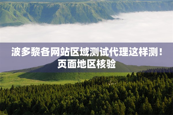 波多黎各网站区域测试代理这样测！页面地区核验