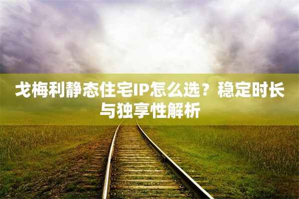 戈梅利静态住宅IP怎么选?稳定时长与独享性解析 戈梅利静态住宅IP怎么选?稳定时长与独享性解析