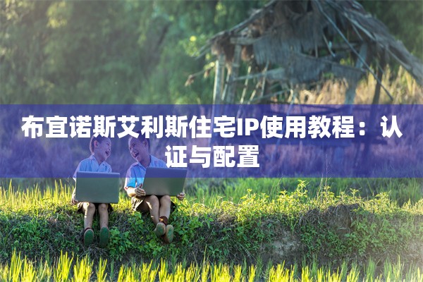 布宜诺斯艾利斯住宅IP使用教程：认证与配置
