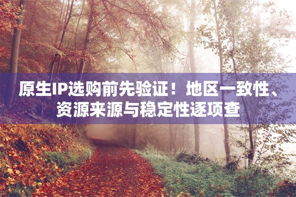 原生IP选购前先验证！地区一致性、资源来源与稳定性逐项查