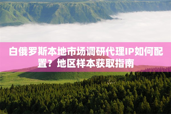 白俄罗斯本地市场调研代理IP如何配置？地区样本获取指南