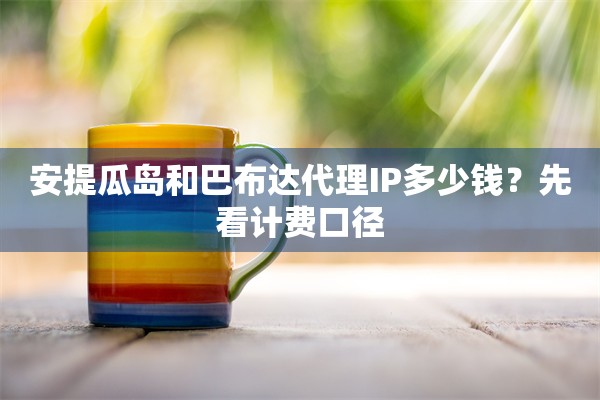 安提瓜岛和巴布达代理IP多少钱？先看计费口径