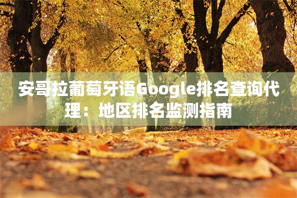 安哥拉葡萄牙语Google排名查询代理：地区排名监测指南