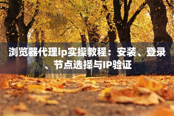 浏览器代理ip实操教程：安装、登录、节点选择与IP验证