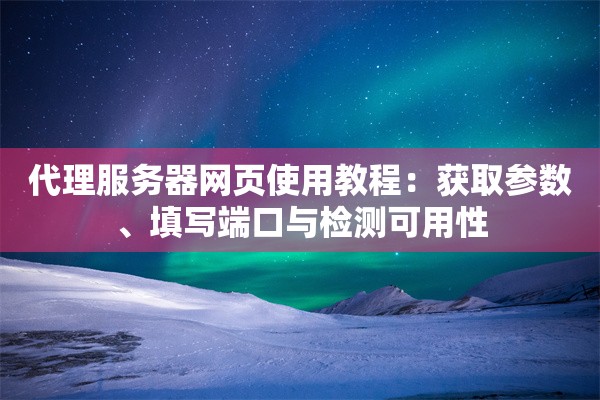 代理服务器网页使用教程：获取参数、填写端口与检测可用性