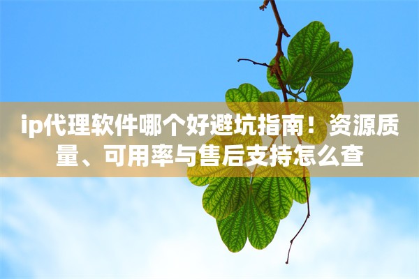 ip代理软件哪个好避坑指南！资源质量、可用率与售后支持怎么查
