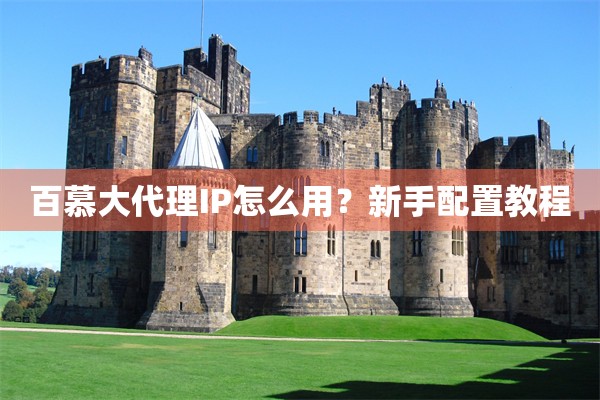百慕大代理IP怎么用？新手配置教程
