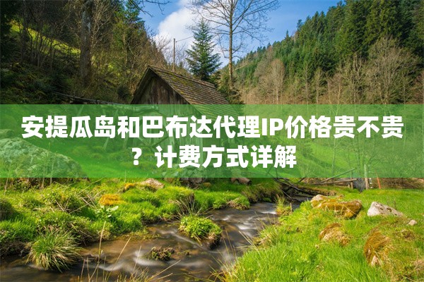 安提瓜岛和巴布达代理IP价格贵不贵？计费方式详解