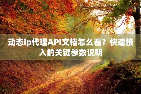 动态ip代理API文档怎么看?快速接入的关键参数说明