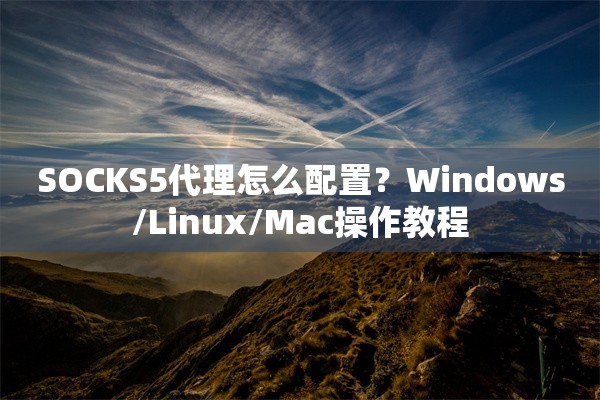 SOCKS5代理怎么配置？Windows/Linux/Mac操作教程
