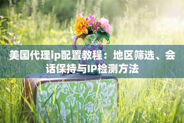 美国代理ip配置教程:地区筛选、会话保持与IP检测方法 美国代理ip配置教程:地区筛选、会话保持与IP检测方法