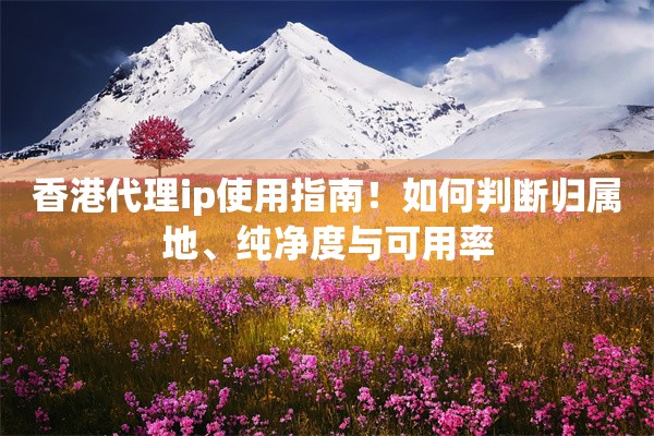 香港代理ip使用指南!如何判断归属地、纯净度与可用率 香港代理ip使用指南!如何判断归属地、纯净度与可用率