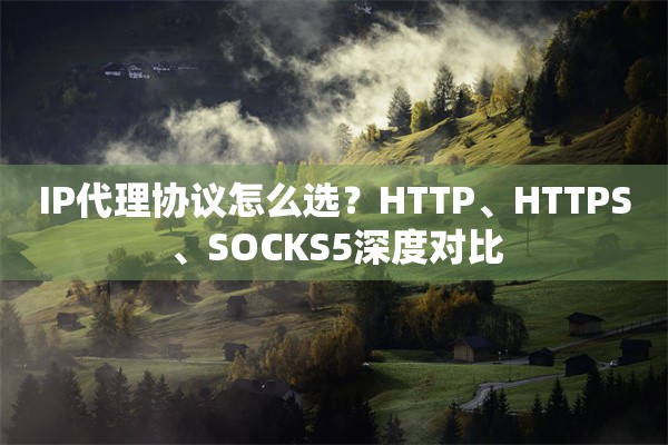 IP代理协议怎么选？HTTP、HTTPS、SOCKS5深度对比