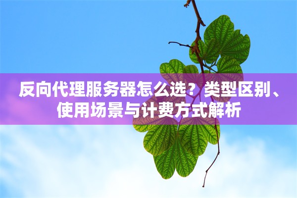 反向代理服务器怎么选?类型区别、使用场景与计费方式解析 反向代理服务器怎么选?类型区别、使用场景与计费方式解析