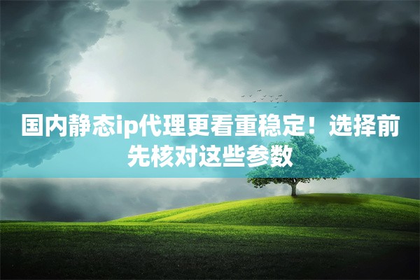 国内静态ip代理更看重稳定！选择前先核对这些参数
