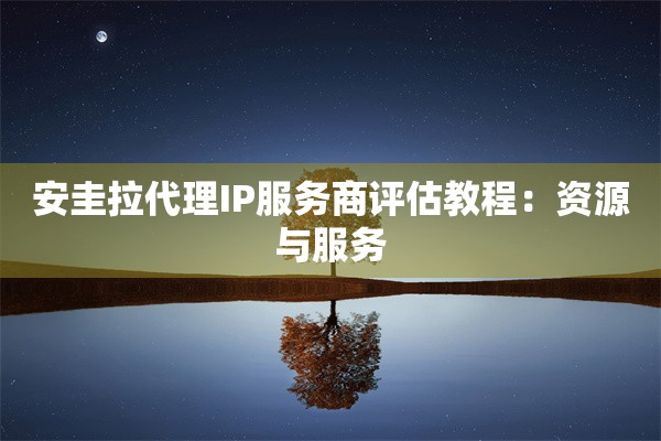 安圭拉代理IP服务商评估教程：资源与服务