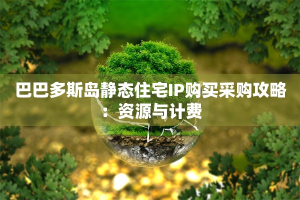 巴巴多斯岛静态住宅IP购买采购攻略：资源与计费