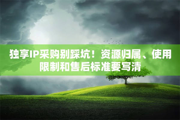 独享IP采购别踩坑！资源归属、使用限制和售后标准要写清