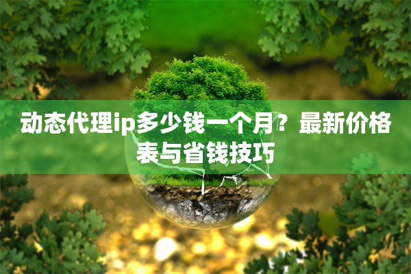 动态代理ip多少钱一个月？最新价格表与省钱技巧