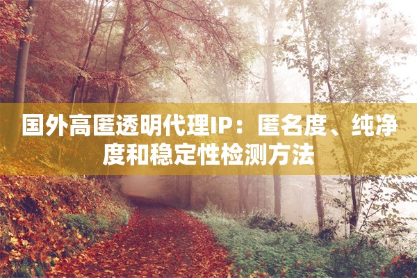 国外高匿透明代理IP：匿名度、纯净度和稳定性检测方法