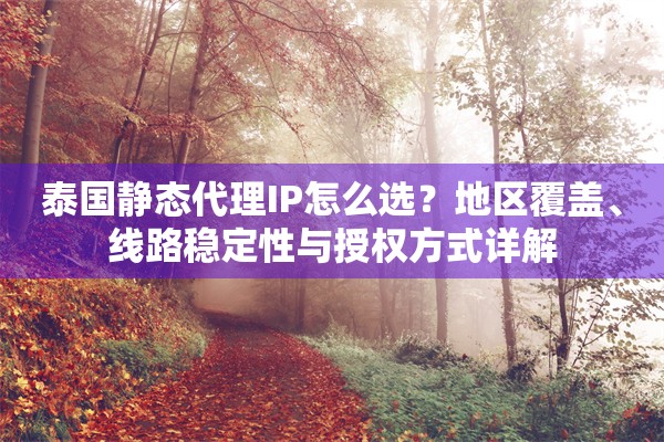 泰国静态代理IP怎么选？地区覆盖、线路稳定性与授权方式详解
