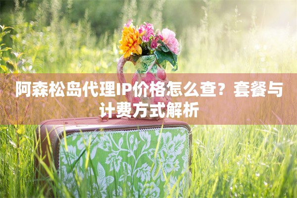 阿森松岛代理IP价格怎么查?套餐与计费方式解析 阿森松岛代理IP价格怎么查?套餐与计费方式解析