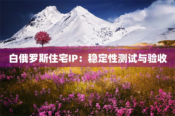白俄罗斯住宅IP:稳定性测试与验收 白俄罗斯住宅IP:稳定性测试与验收
