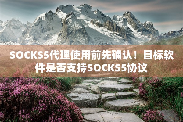 SOCKS5代理使用前先确认!目标软件是否支持SOCKS5协议 SOCKS5代理使用前先确认!目标软件是否支持SOCKS5协议