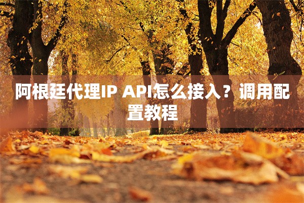 阿根廷代理IP API怎么接入?调用配置教程 阿根廷代理IP API怎么接入?调用配置教程