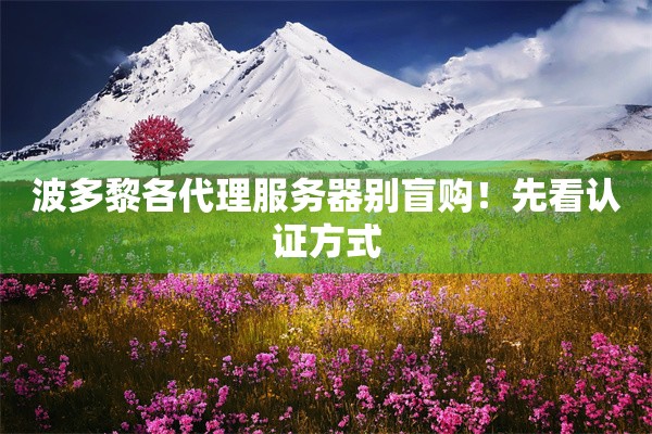 波多黎各代理服务器别盲购!先看认证方式 波多黎各代理服务器别盲购!先看认证方式
