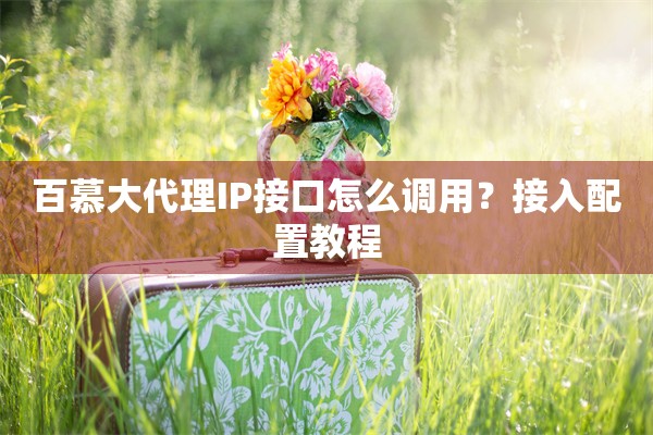 百慕大代理IP接口怎么调用?接入配置教程 百慕大代理IP接口怎么调用?接入配置教程