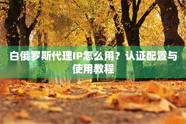 白俄罗斯代理IP怎么用？认证配置与使用教程