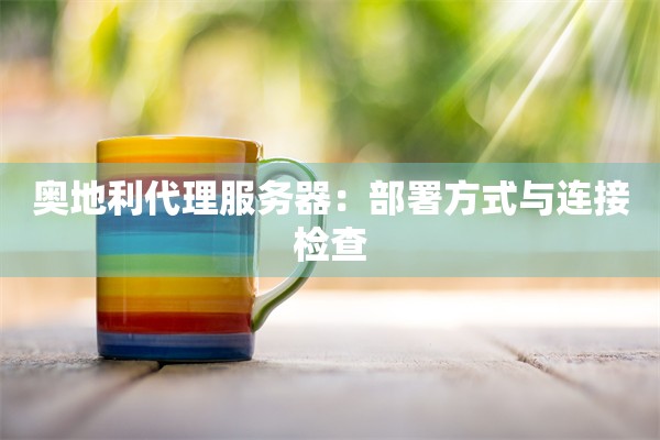 奥地利代理服务器：部署方式与连接检查