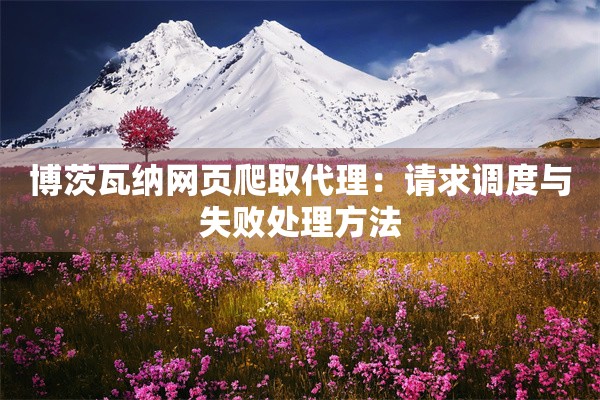 博茨瓦纳网页爬取代理：请求调度与失败处理方法