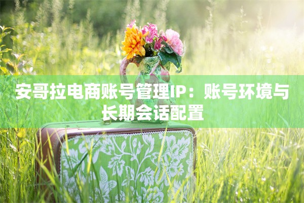 安哥拉电商账号管理IP：账号环境与长期会话配置