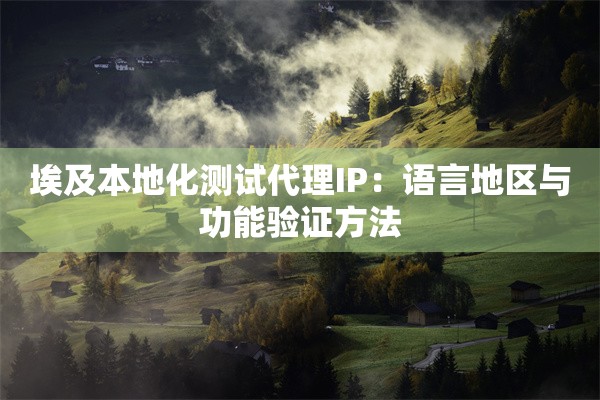 埃及本地化测试代理IP：语言地区与功能验证方法