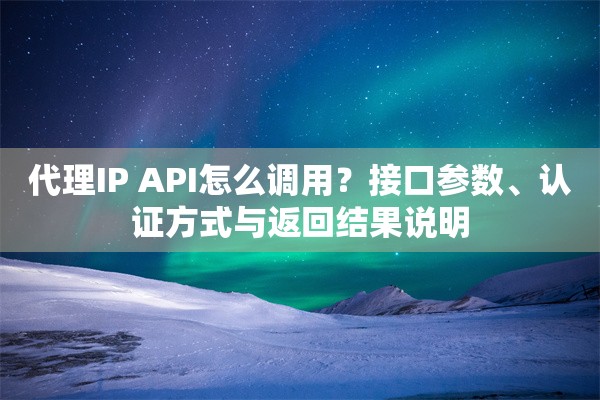 代理IP API怎么调用？接口参数、认证方式与返回结果说明