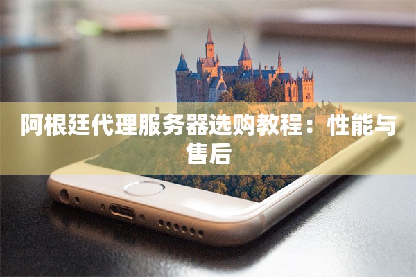 阿根廷代理服务器选购教程：性能与售后