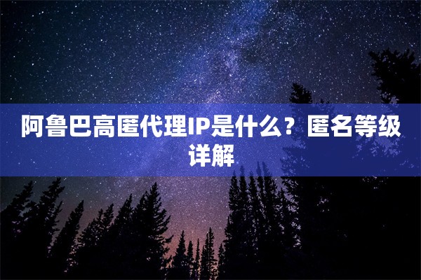 阿鲁巴高匿代理IP是什么？匿名等级详解