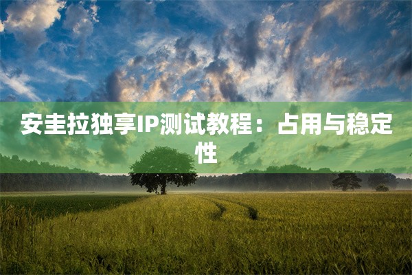 安圭拉独享IP测试教程：占用与稳定性