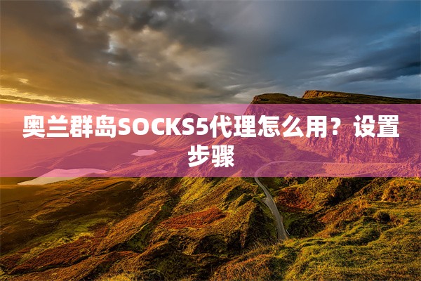 奥兰群岛SOCKS5代理怎么用？设置步骤