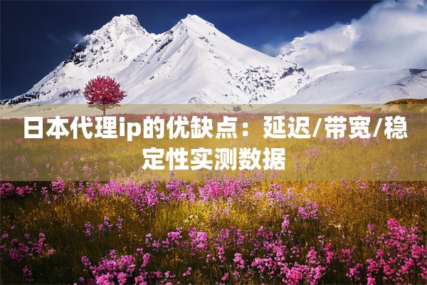 日本代理ip的优缺点:延迟/带宽/稳定性实测数据 日本代理ip的优缺点:延迟/带宽/稳定性实测数据