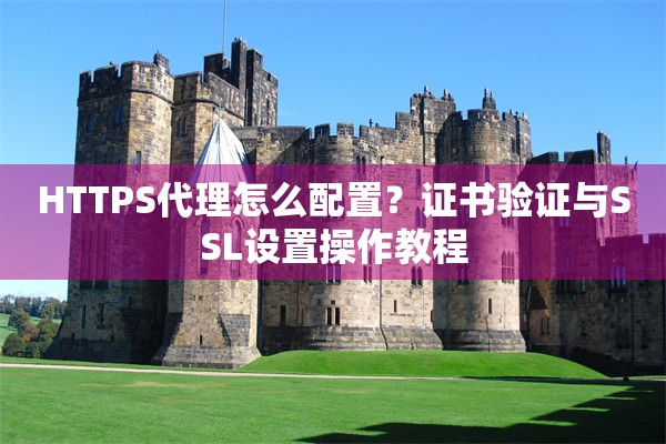 HTTPS代理怎么配置？证书验证与SSL设置操作教程