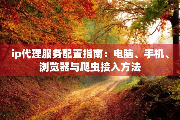 ip代理服务配置指南：电脑、手机、浏览器与爬虫接入方法