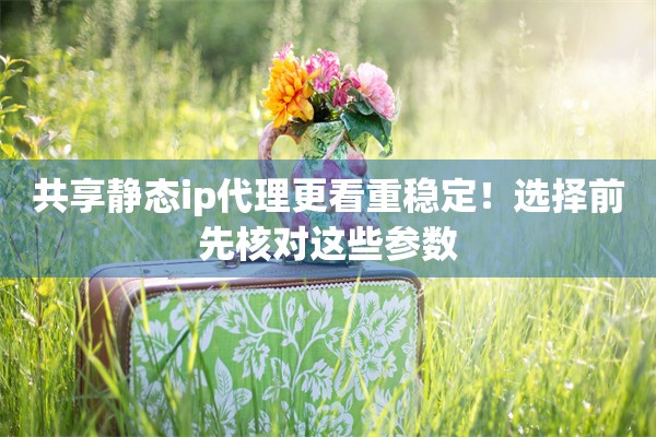 共享静态ip代理更看重稳定!选择前先核对这些参数 共享静态ip代理更看重稳定!选择前先核对这些参数